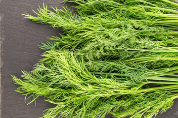 One bunch of fresh green dill on a slate stone, macro, top view.