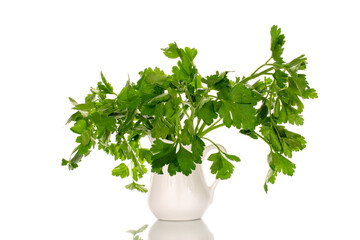One bunch of fresh green parsley in a white ceramic vase, close-up, isolated on white.