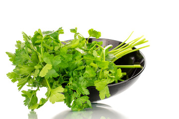 One bunch of fresh green parsley with black ceramic plate, close-up, isolated on white.