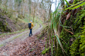 Obraz premium Donautal bei Beuron