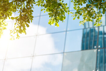 Clouds reflected in modern office building wall