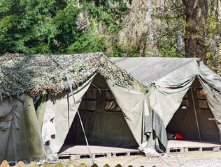 tent in the forest