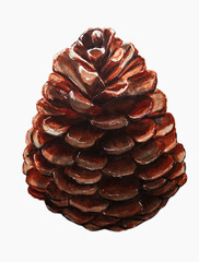 Pine cone, drawing with markers, white background. - 497946299
