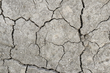 The surface of the soil is covered with cracks during drought
