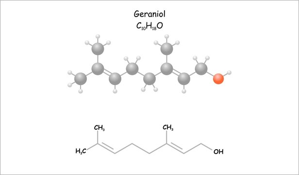 Stylized molecule model/structural formula of geraniol. pheromone and use in perfumery.