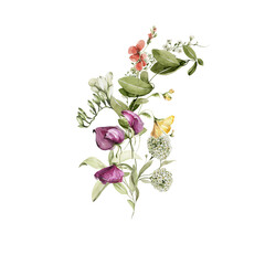 Watercolor floral bouquet. Hand painted set of green leaves, spring wild flowers, field summer bloom, herbs isolated on white background. Iillustration for card design, print, background