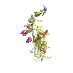 Watercolor floral bouquet. Hand painted set of green leaves, spring wild flowers, field summer bloom, herbs isolated on white background. Iillustration for card design, print, background