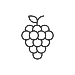 Grape thin line icon. Linear symbol. Vector illustration..
