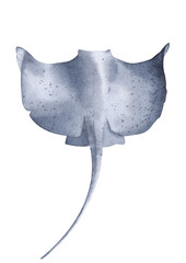 Isolated watercolor illustration. Stingray on a white background.