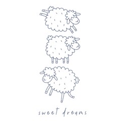 Set of cute sheep. Graphic illustration on white background 