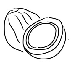 coconut simple line sketch with black line style