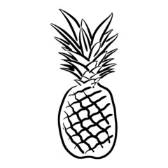 pineapple simple line sketch with black line style