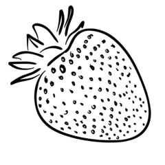 strawberry simple line sketch with black line style