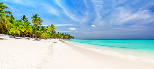 Panorama of white sandy beach with coconut palm trees in Caribbean sea, Saona island in Dominican Republic.