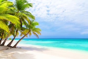 Obraz na płótnie Canvas Coconut Palm trees on white sandy beach in Saona island, Dominican Republic.