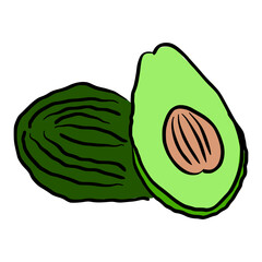 avocado simple line sketch with color style