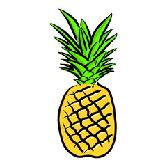 pineapple simple line sketch with color style