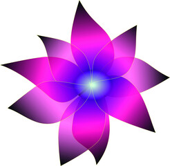 A beautiful, delicate flower. Vector file for designs.