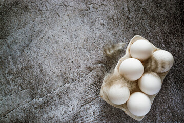 white chicken eggs with feathers on a ceramic stand stand on a gray neutral concrete background