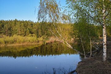 Fototapeta na wymiar Spring in central Russia.