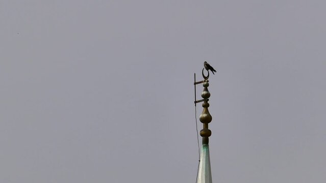 crow birds perching at the end of the mosque minaret, mosque minaret and birds, minaret and bird silhouettes,