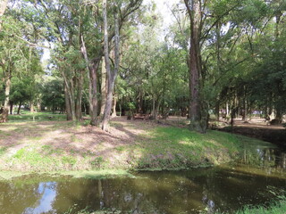 river in the park