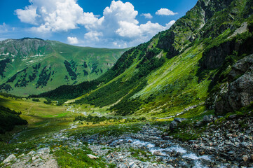 Naklejka na ściany i meble The beautiful summer landscape in Arkhyz