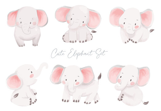 Cute Little Baby Elephant watercolor hand drawing illustration. Children wild safari animal set