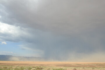 Fototapeta na wymiar A monsoon moving rapidly across the Arizona Desert in Mohave County. 