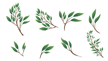 cartoon  green leaves and branches .isolated on white background ,Vector illustration EPS 10