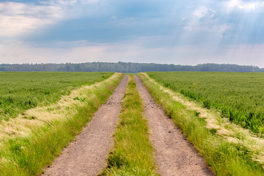 Weg zum Horizont und aufklarendem Himmel