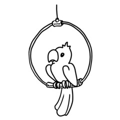 Parrot vector illustration isolated on white background