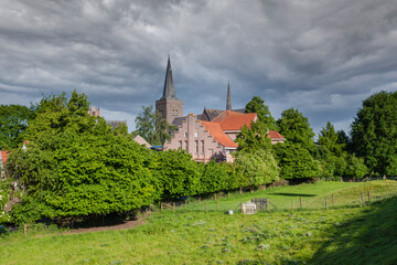Obraz premium Summer landscape with a cityscape at Wijk bij Duurstede with the spire of the Johannes de Doperkerk, called the Peperbus, seen from the Rijndijk 