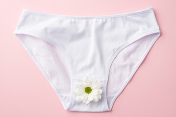 Top view photo of white cotton classic panties with camomile bud on isolated pastel pink background