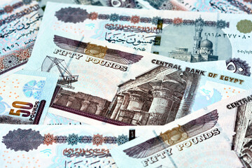 A pile of Egyptian money banknotes of 50 LE fifty pounds features Abu Hurayba Mosque on obverse side and n image of temple of Edfu, winged scarab and a pharaonic boat on the reverse, selective focus - obrazy, fototapety, plakaty