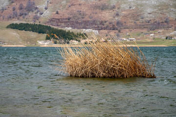 nets on the beach