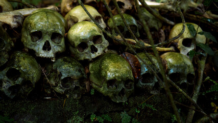 Many green human skulls and bones lying on the ground in the forest, covered in moss in an old abandoned cemetery