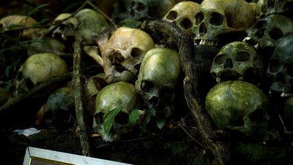Many green human skulls and bones lying on the ground in the forest, covered in moss in an old...
