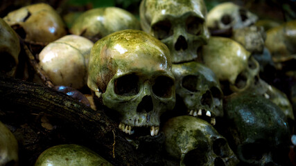 Many green human skulls and bones lying on the ground in the forest, covered in moss in an old abandoned cemetery