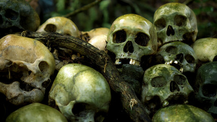 Many green human skulls and bones lying on the ground in the forest, covered in moss in an old...