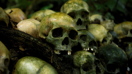 Many green human skulls and bones lying on the ground in the forest, covered in moss in an old abandoned cemetery