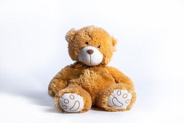 teddy bear on white