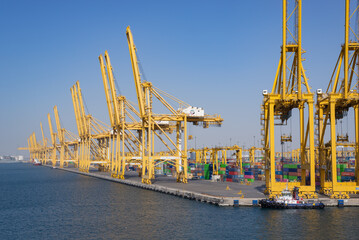 Cargo cranes in container terminal