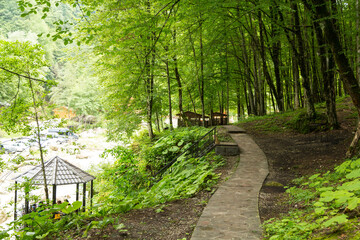 holiday house in the mountains of Chechnya in the spring among the mountains and forests near the river and lake
