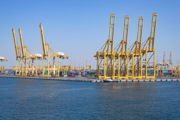 Cargo cranes in container terminal