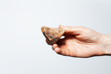 Studio photo of male hand holding a wooden heart on white background.