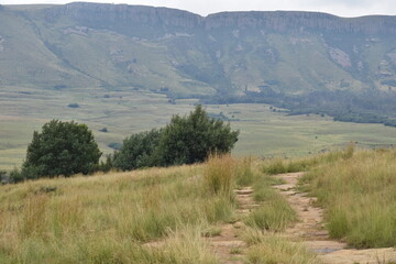 Fototapeta premium Dirt road in the fields