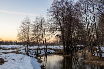 Naklejka na ściany i meble Melting ice and snow. Spring landscape, evening forest with a river. The beginning of spring. Awakening of nature. Charming landscapes of spring nature.