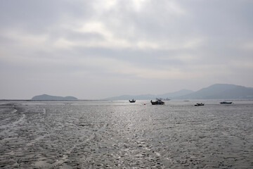 Mud flat of the west sea of Korea.

