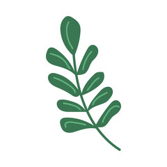 branch green with leaves